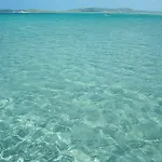 La Medusa 3*