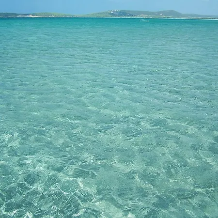 La Medusa 4*