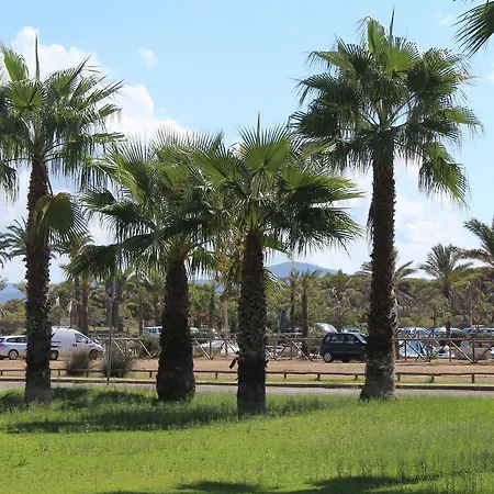 La Medusa Porto Pino